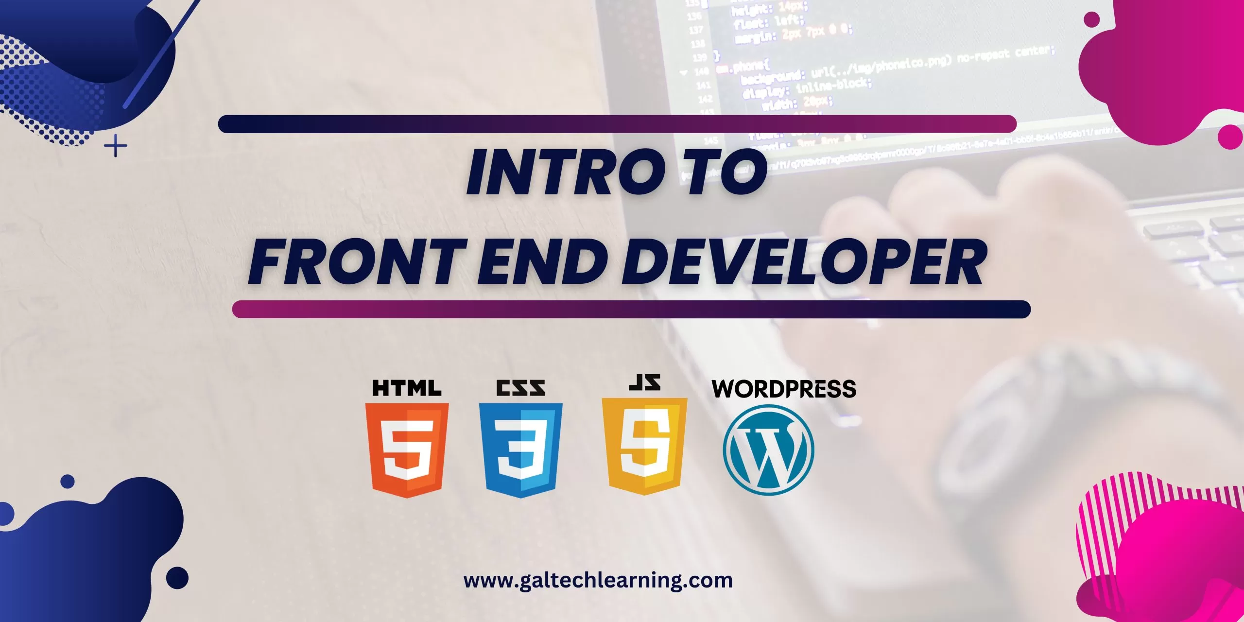 front end developer